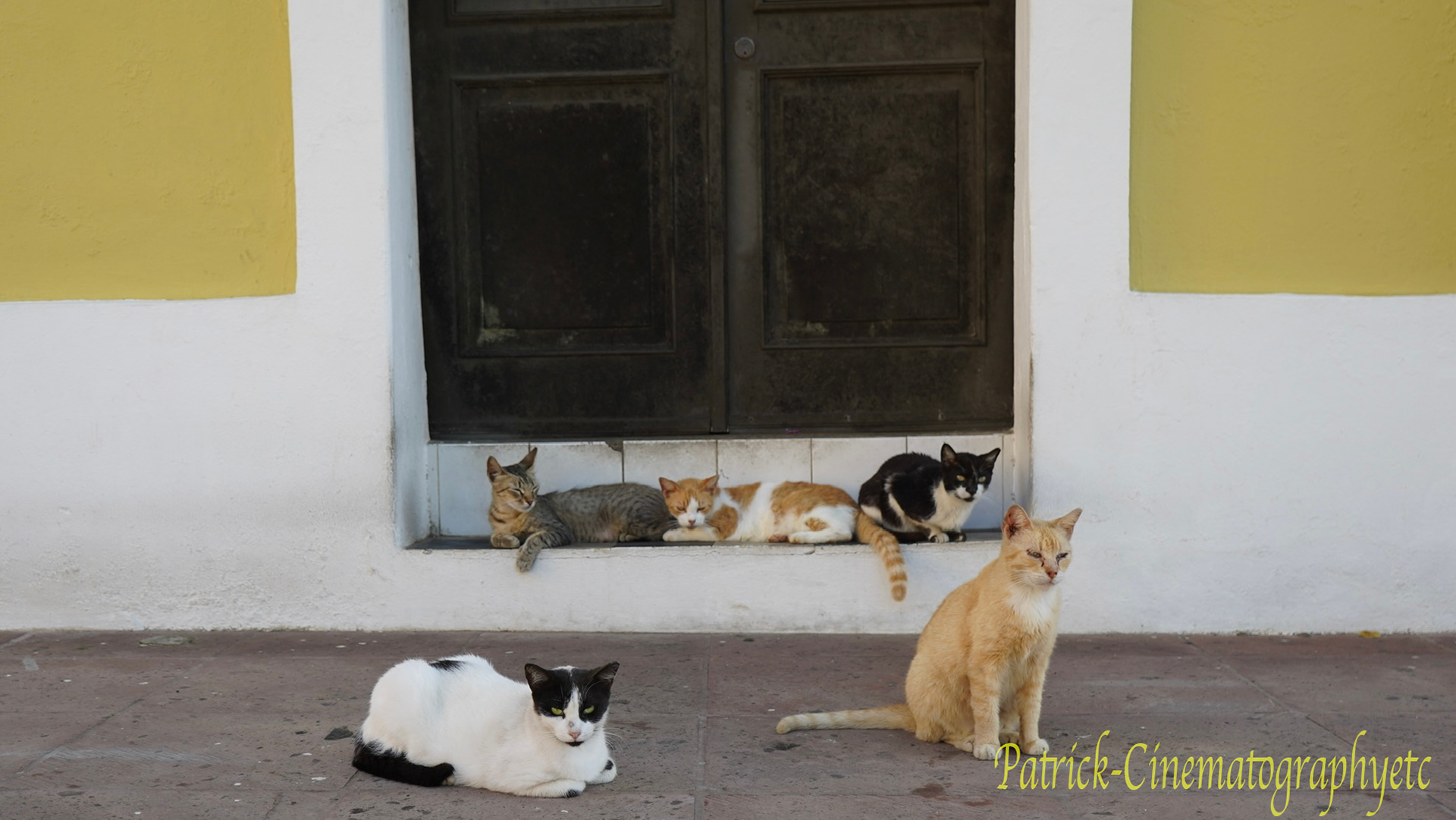 Equipment used: Sony A7iii