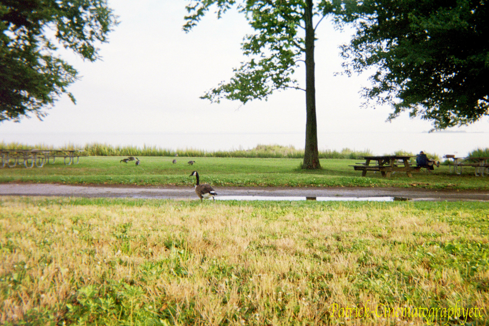 Equipment used: Dispo Camera