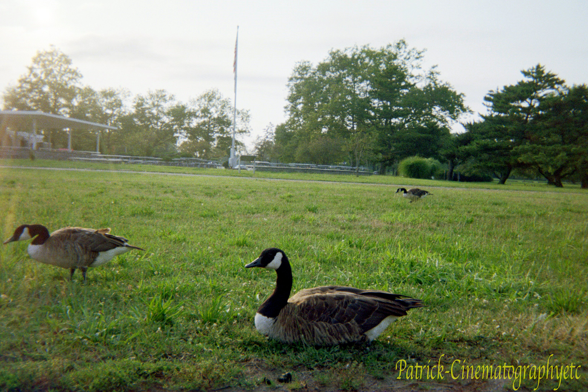 Equipment used: Dispo Camera