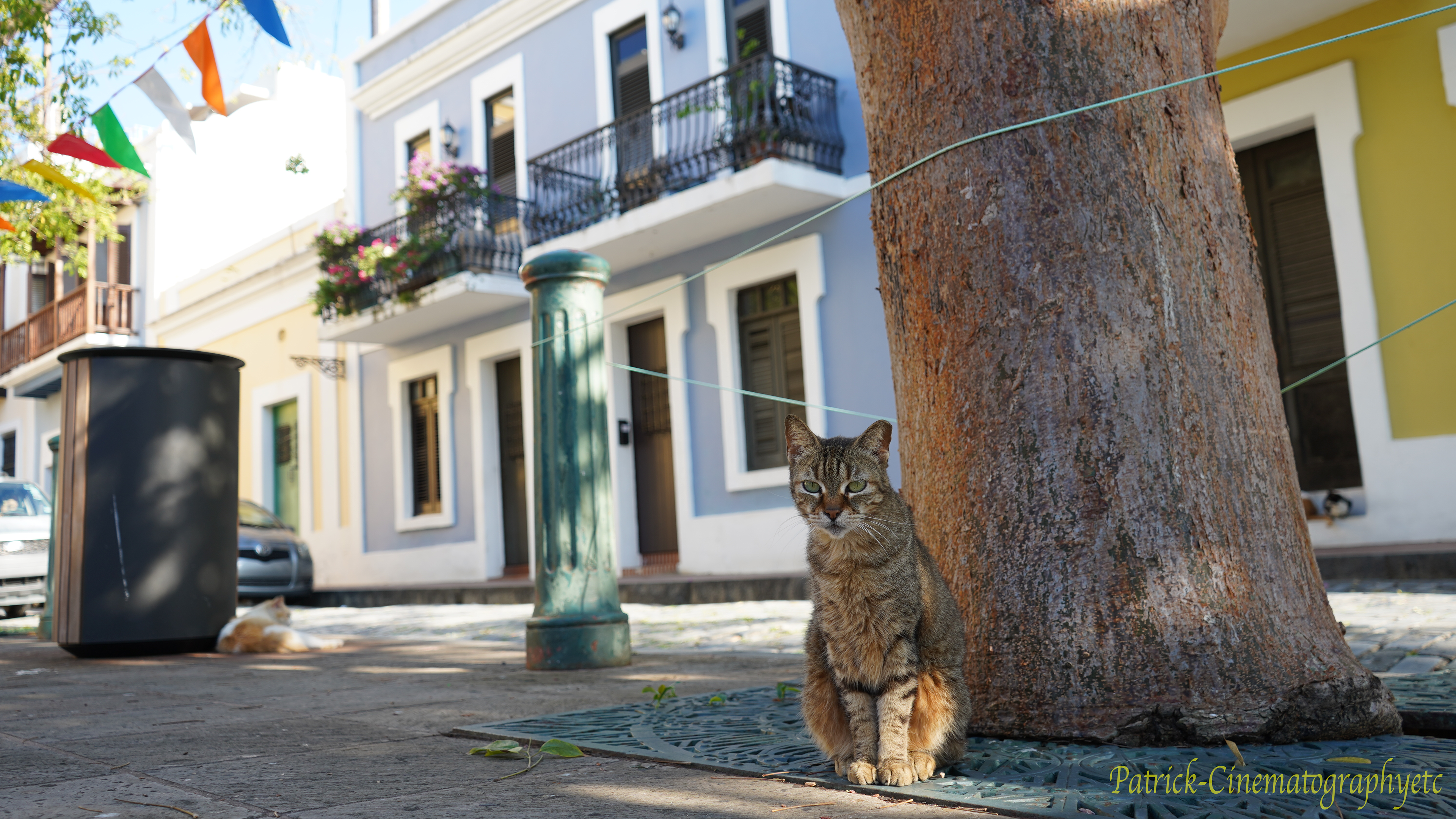 Equipment used: Sony A7iii