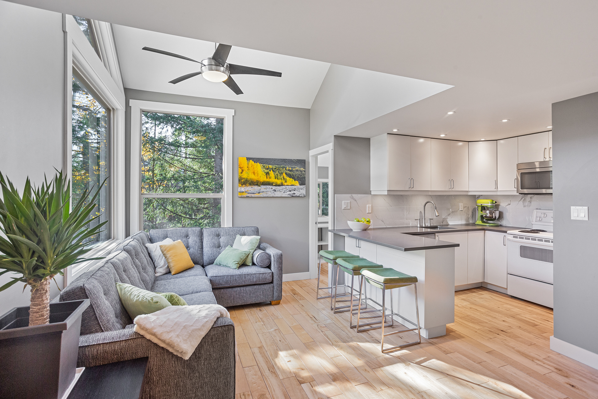 Local Real Estate Photographer