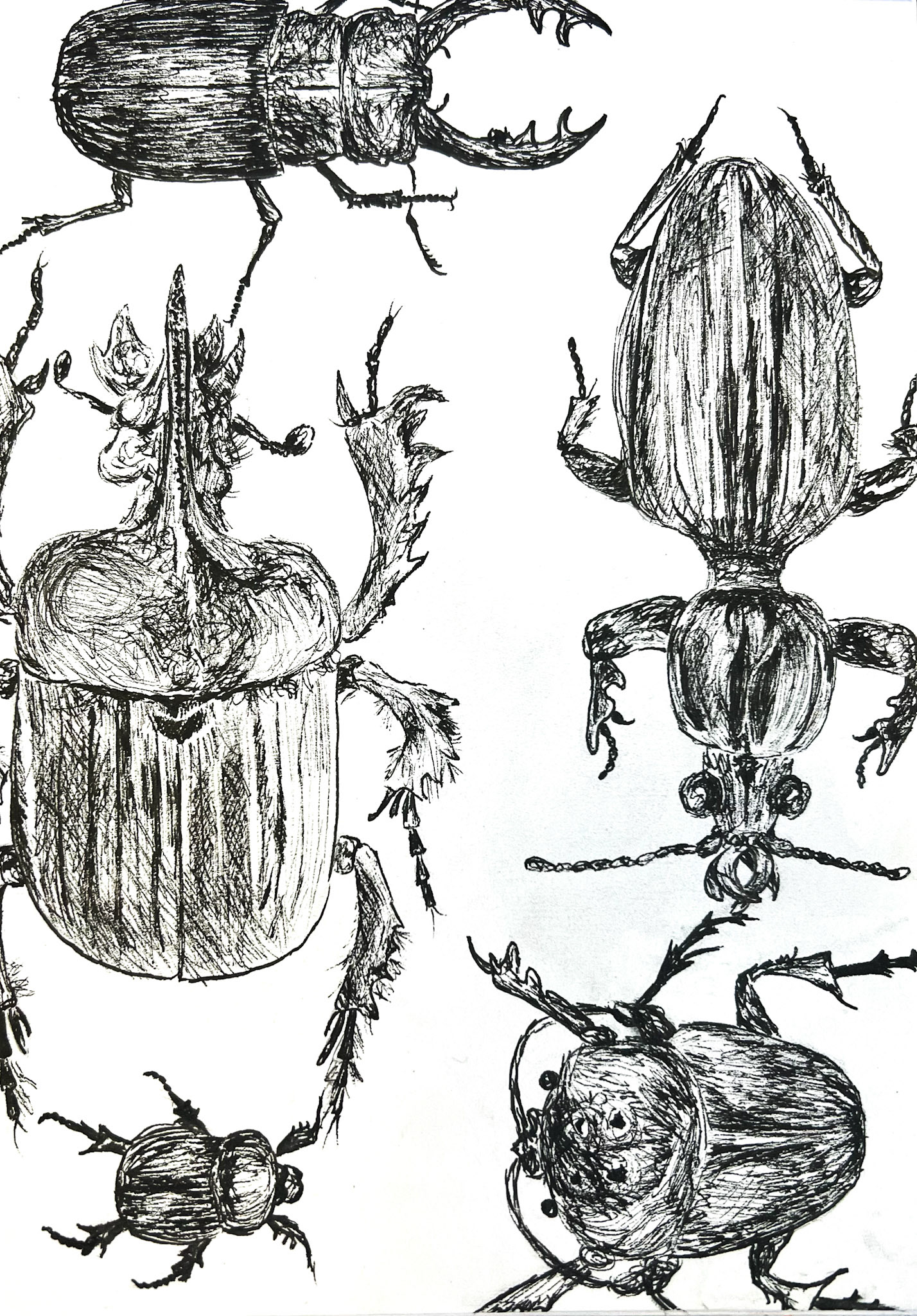 Ink on paper