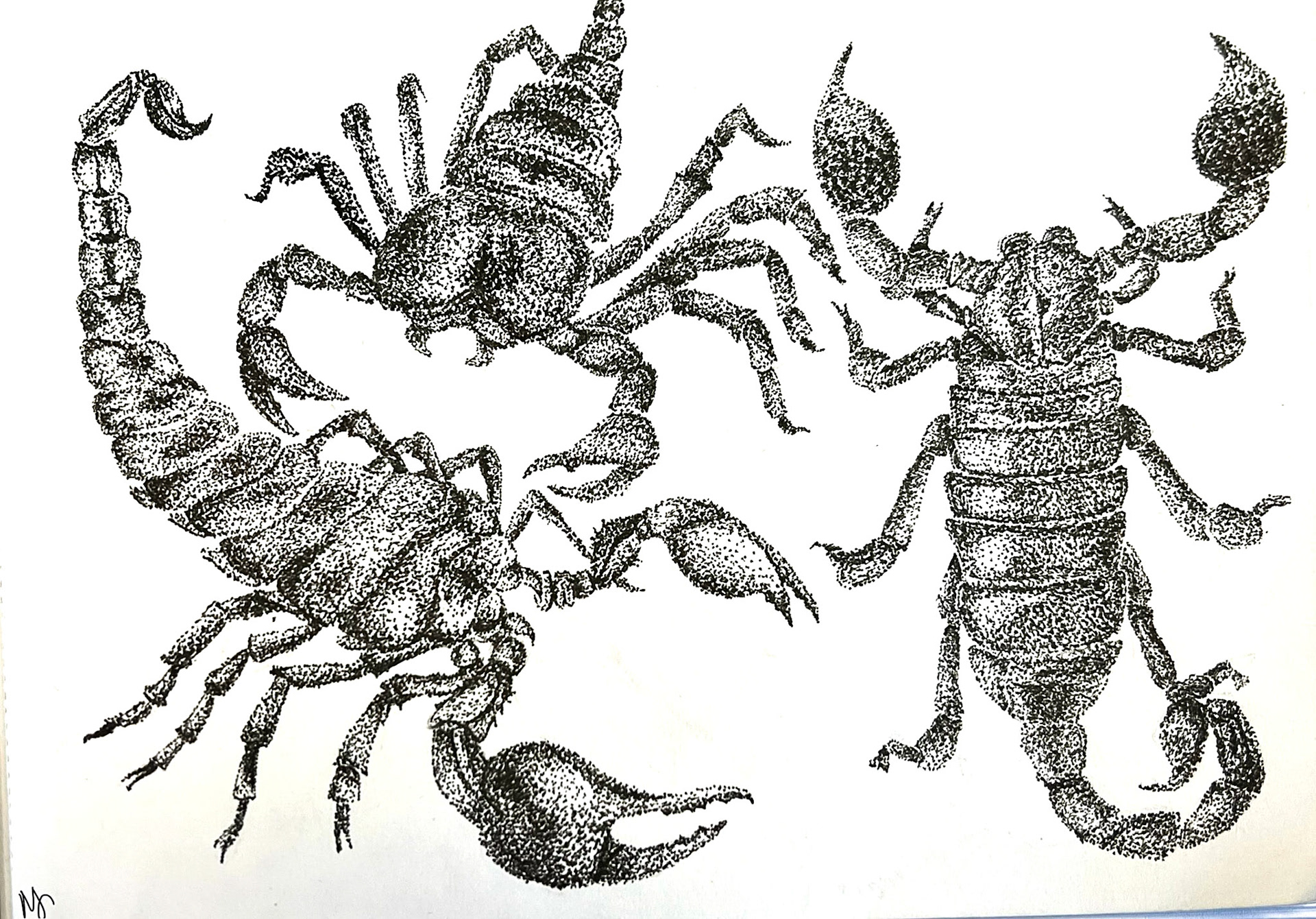 Ink on paper