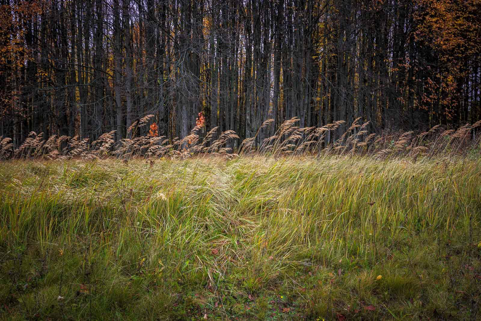 Pathway
