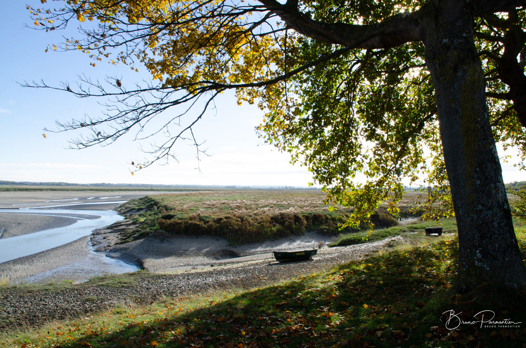 Baie de Somme (Octobre 2025)