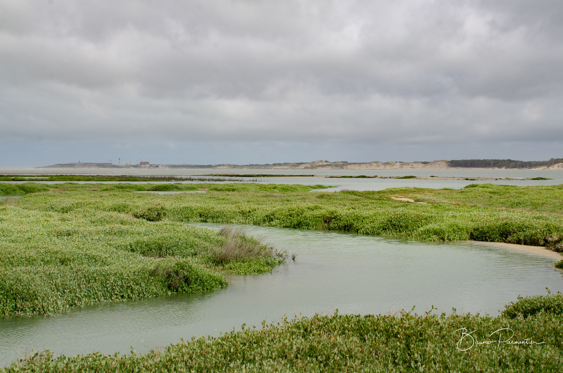 Baie d'Authie (Somme - Juin 2026)