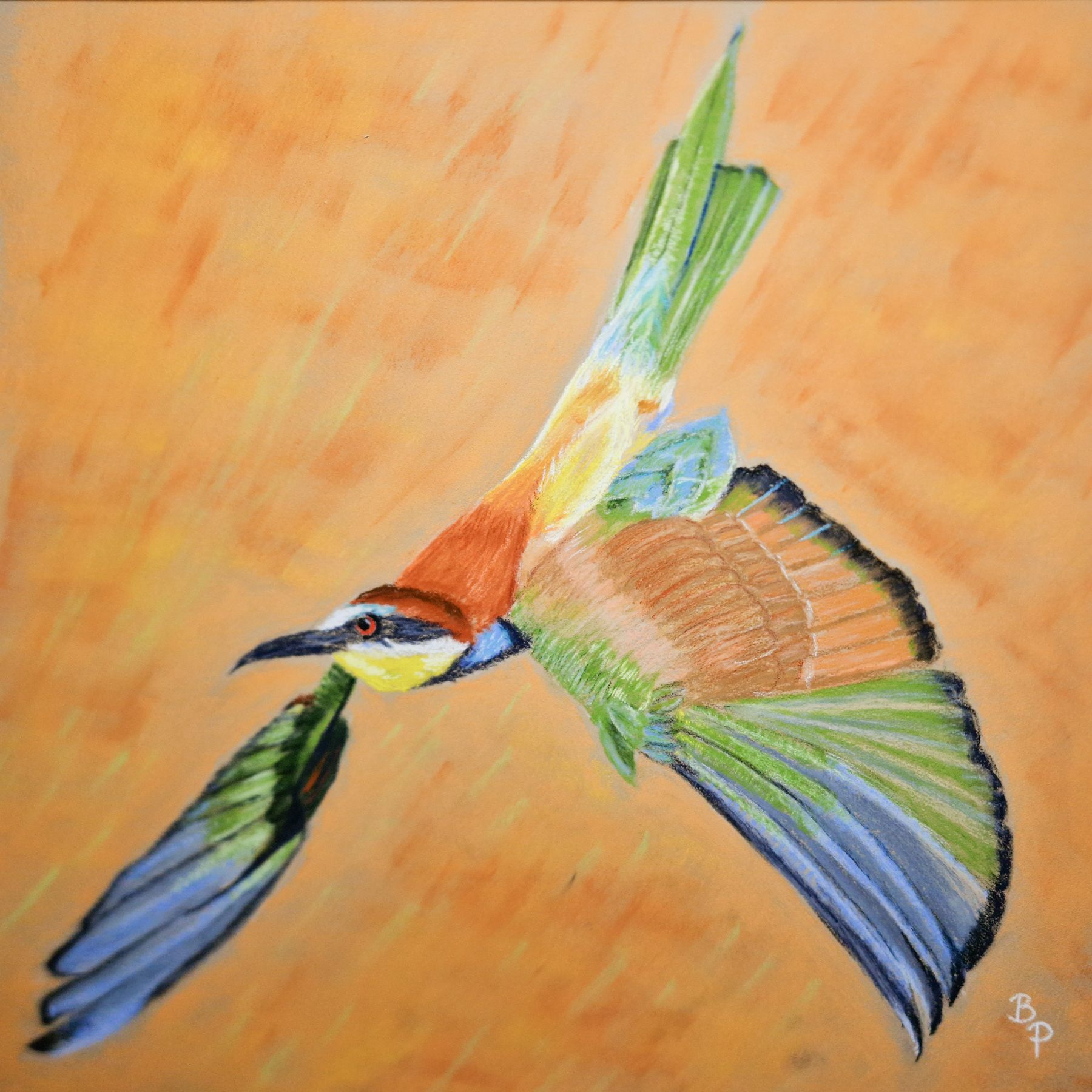 Guépier d'Europe - Pastel (Salon de printemps 2023°