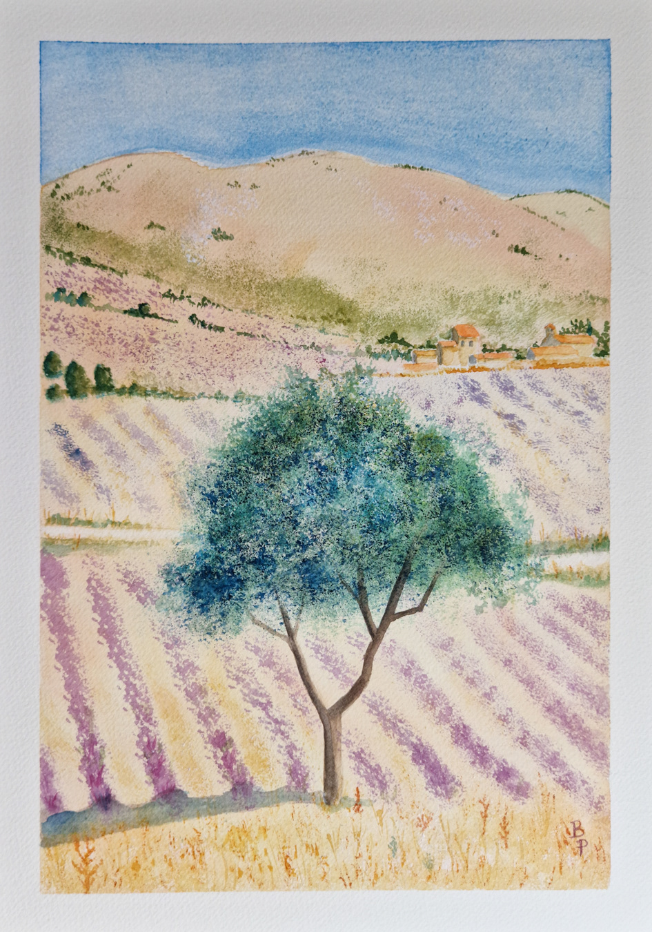 Drôme Provençale - Septembre 2023