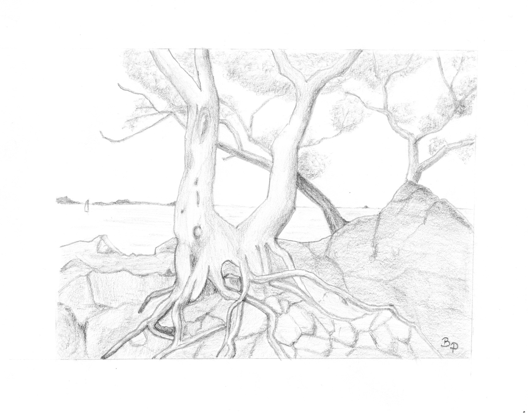 Pointe du Layet - Mine graphite (Salon d'automne 2023)