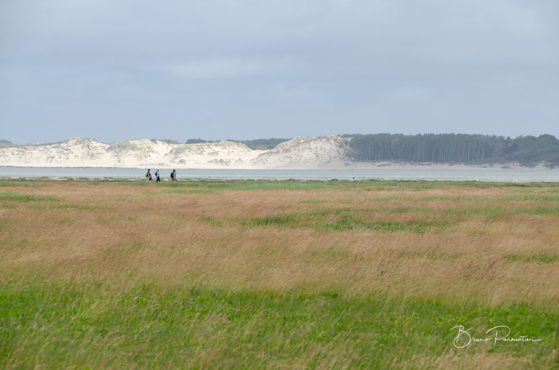 Baie d'Authie (Somme - Juin 2026)