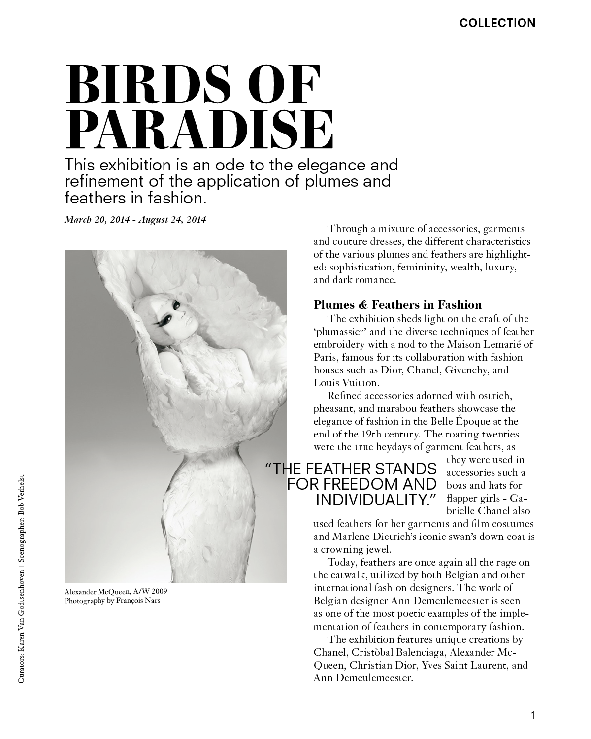 Birds of Paradise Content