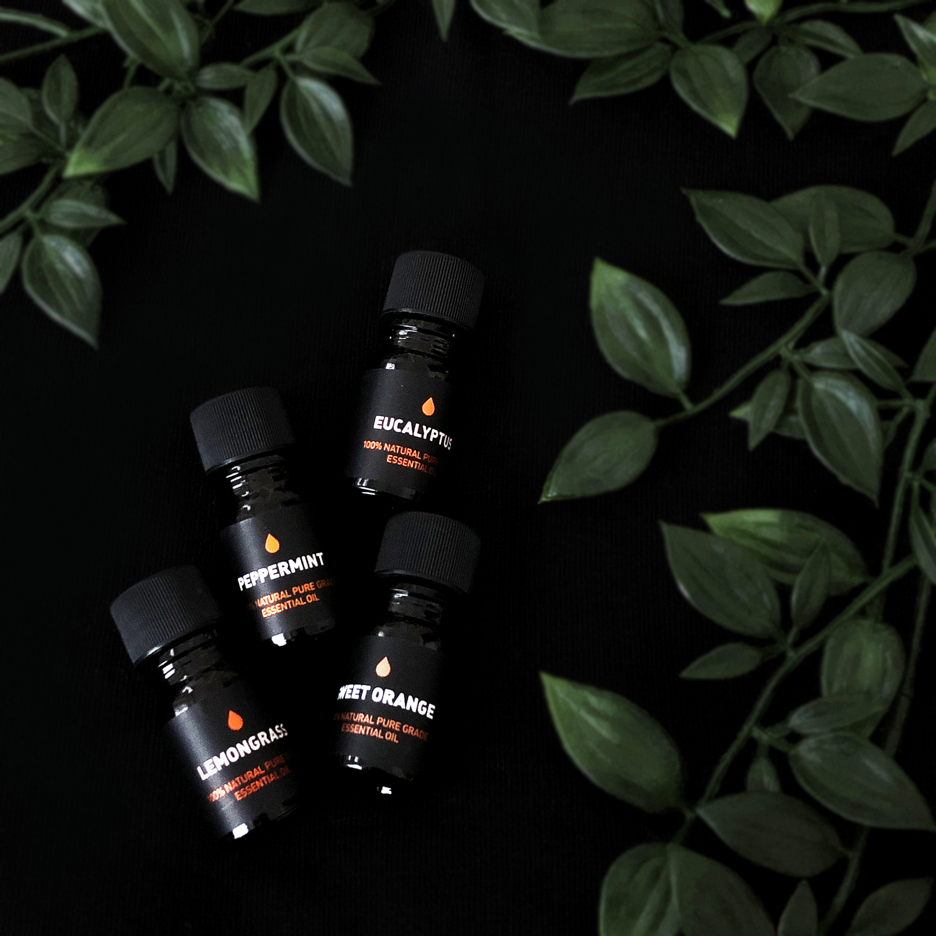 Way Of Will: 4-pc Elevate Essential Oil Gift Set for Macy's