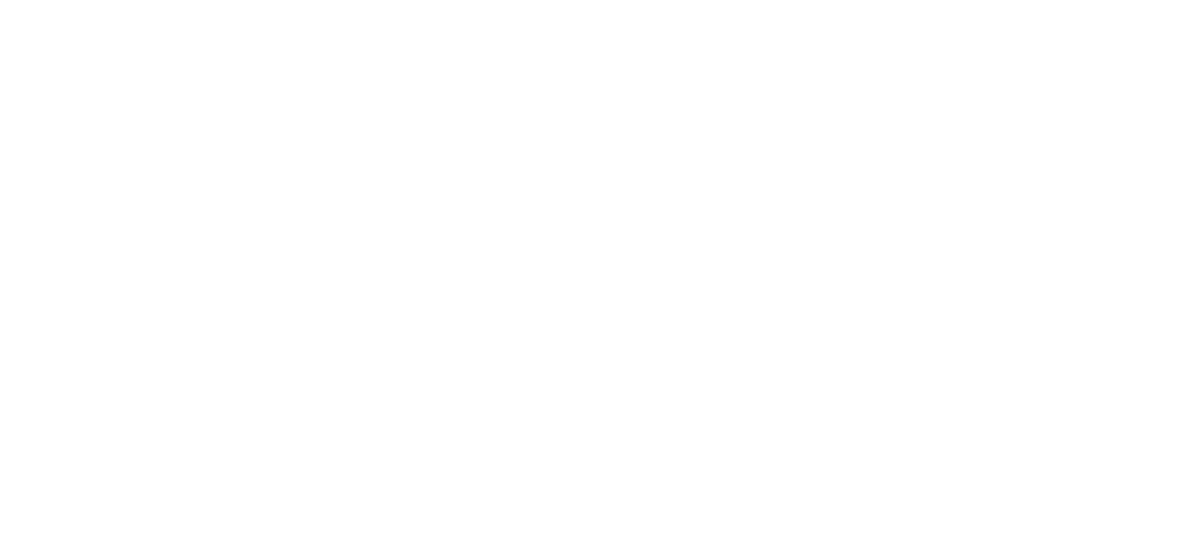 Catharina Romero Covic