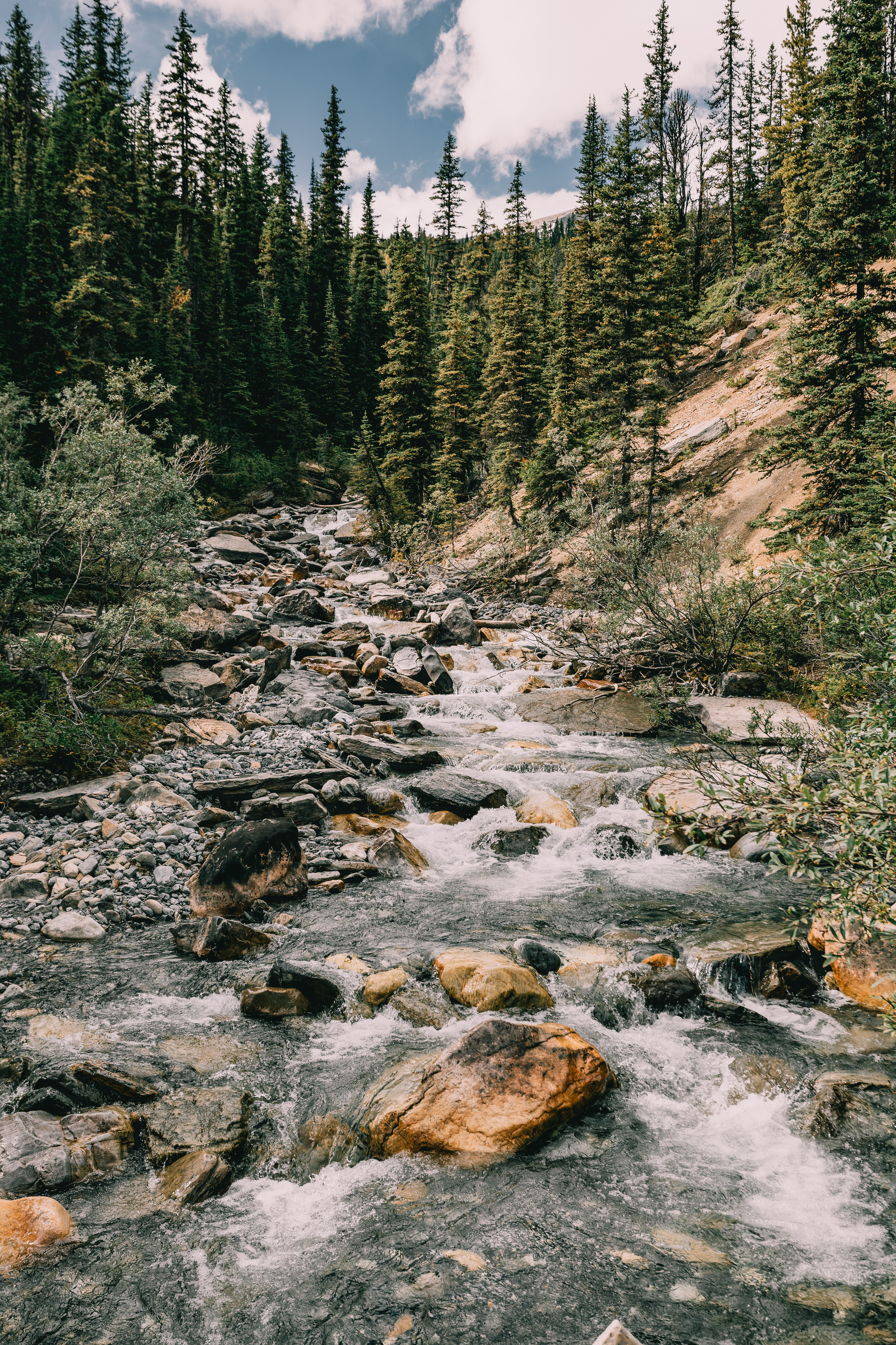 Berg Lake Stream, Mount Robson Provincial Park, BC