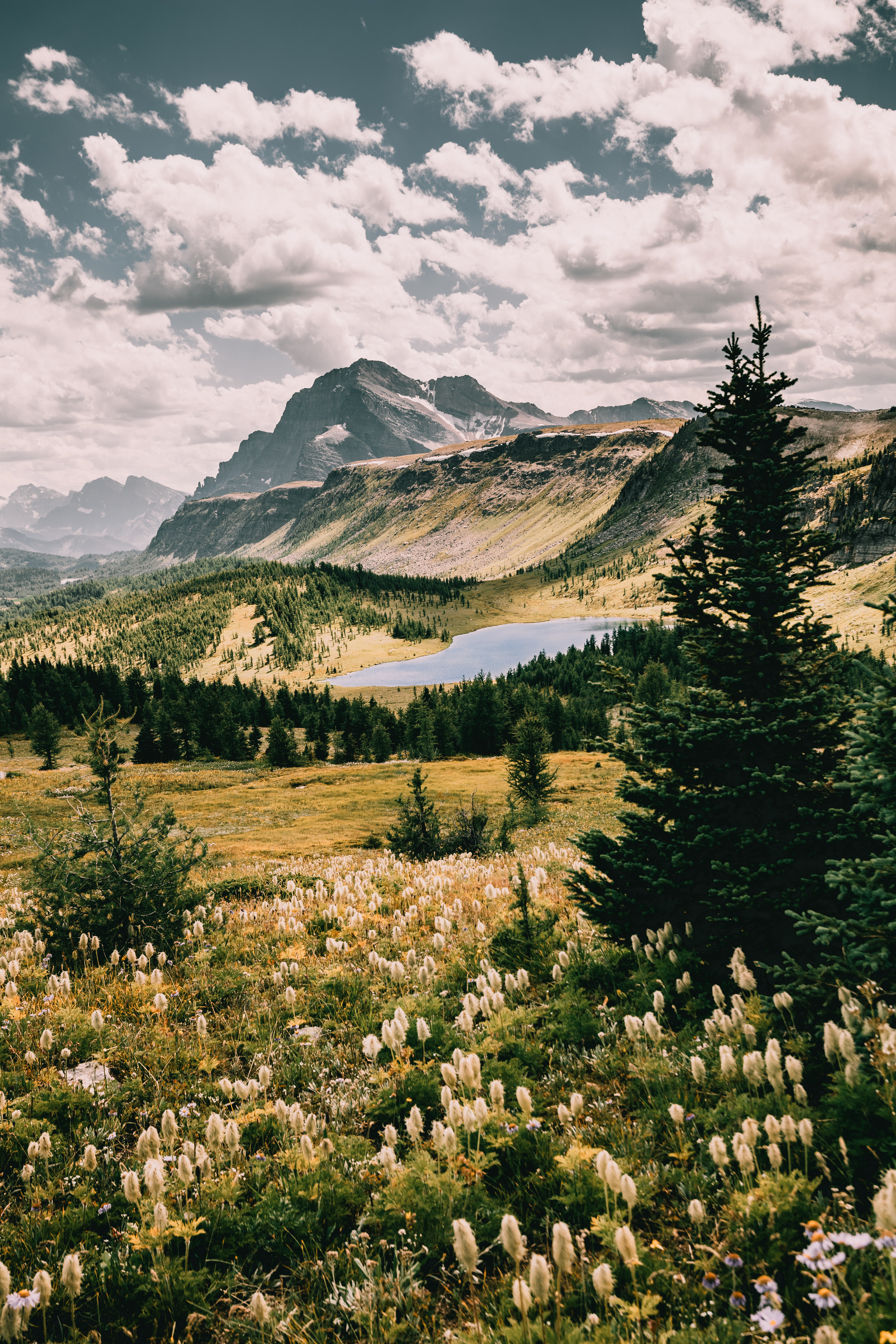 Healy Pass, Alberta