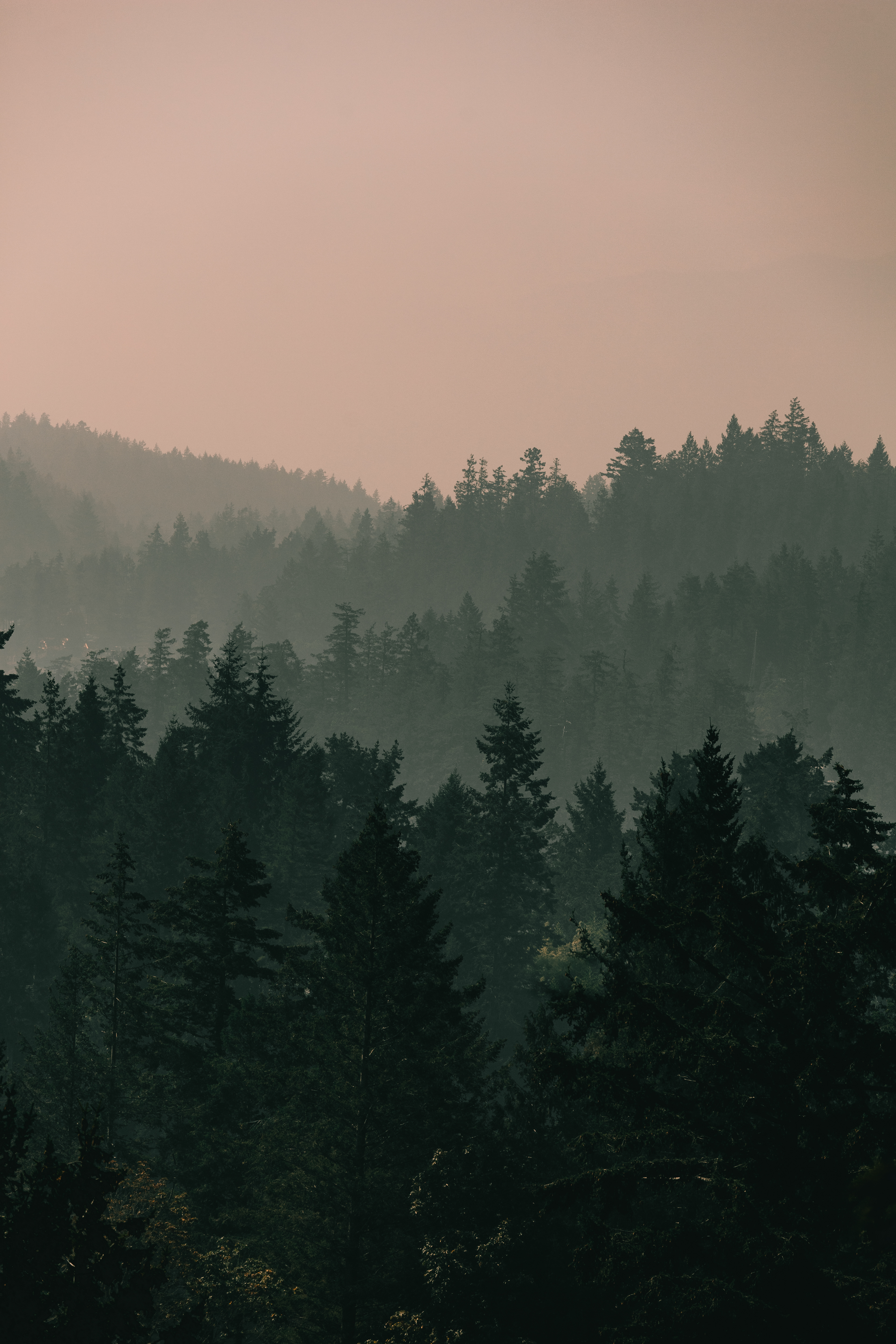 Last Cabin Weekend, Sunshine Coast, BC