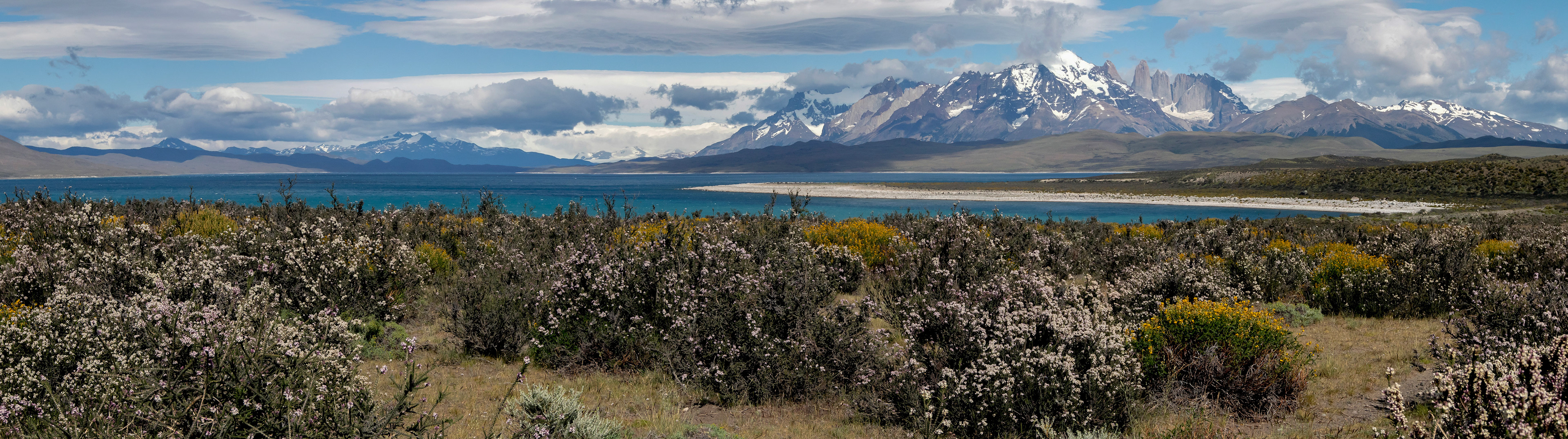 Torres del Paine - Laguna Sarmiento