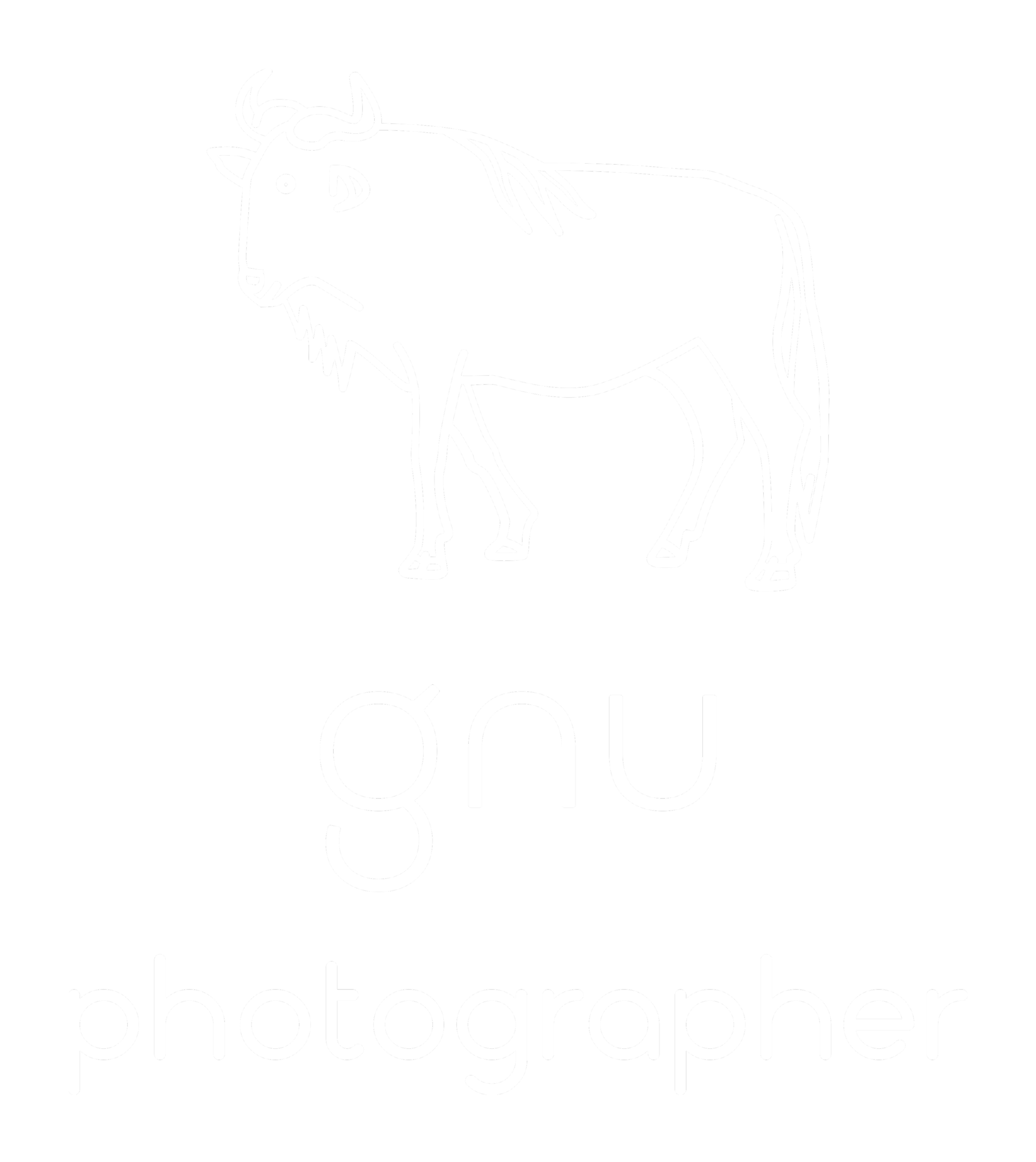 Gnu_photographer