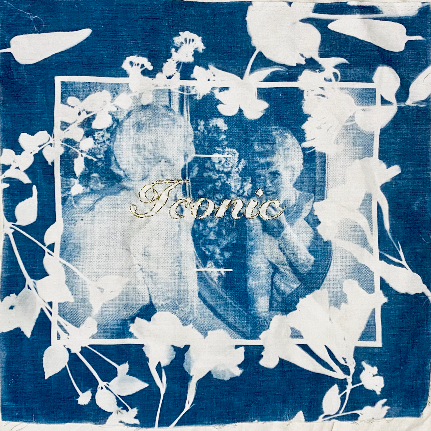 Cyanotype on Fabric, Needlepoint