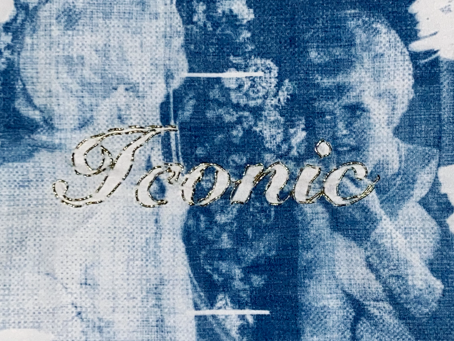 Cyanotype on Fabric, Needlepoint