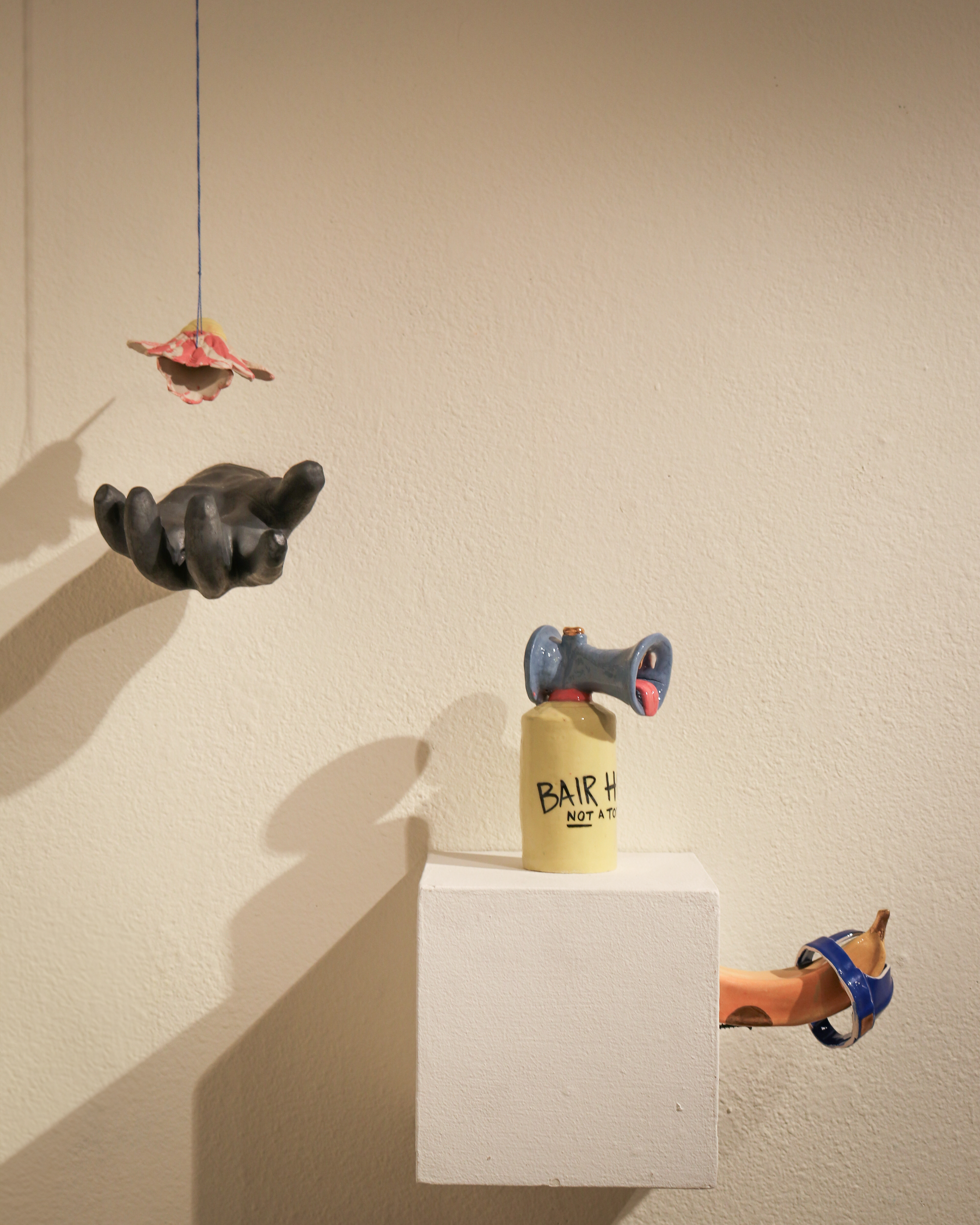 Anderson Animism, installed, 2025