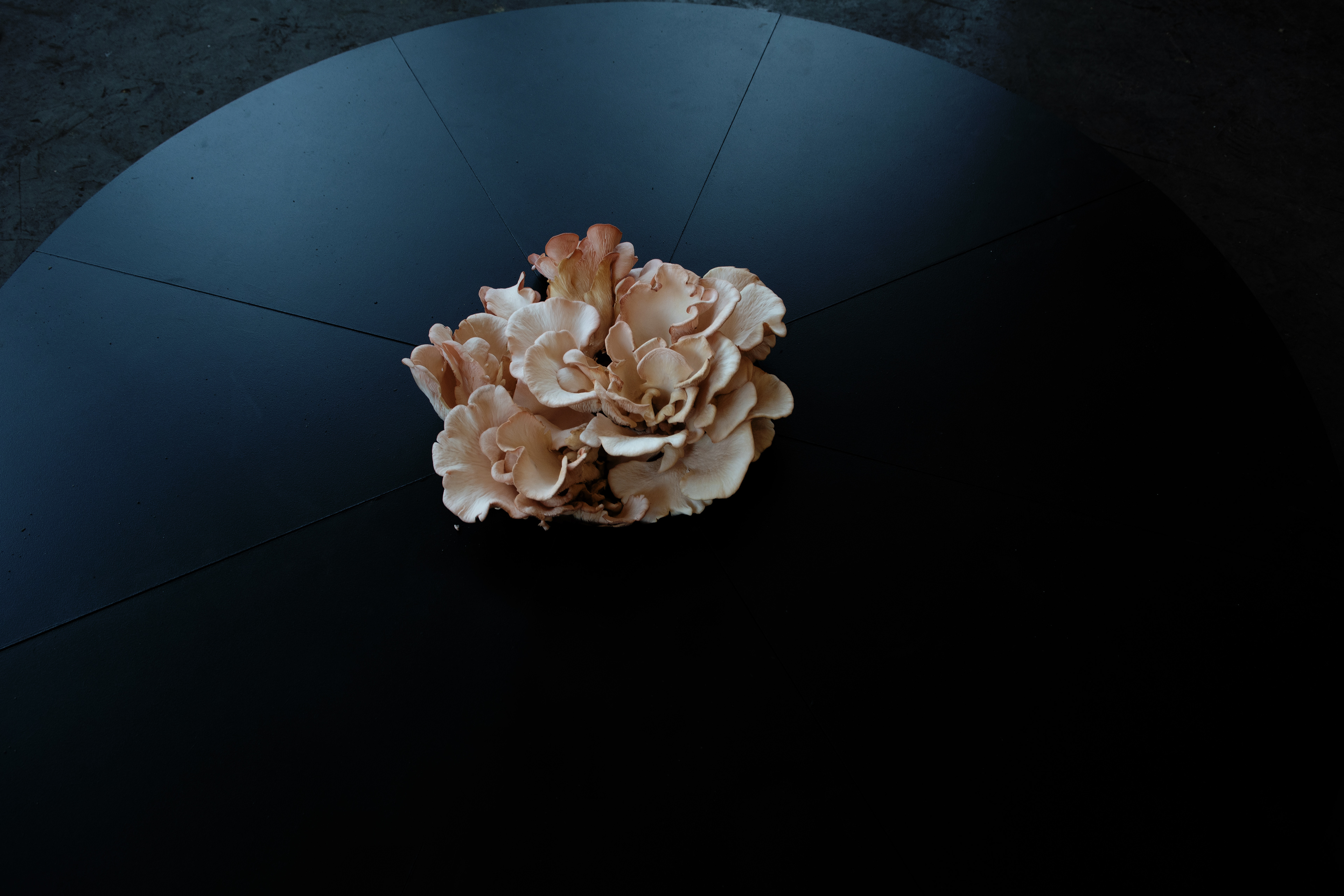 diploma project in Admiralspaalast Zabrze "What do the Gods talk about?" photo Paulina Winiarska