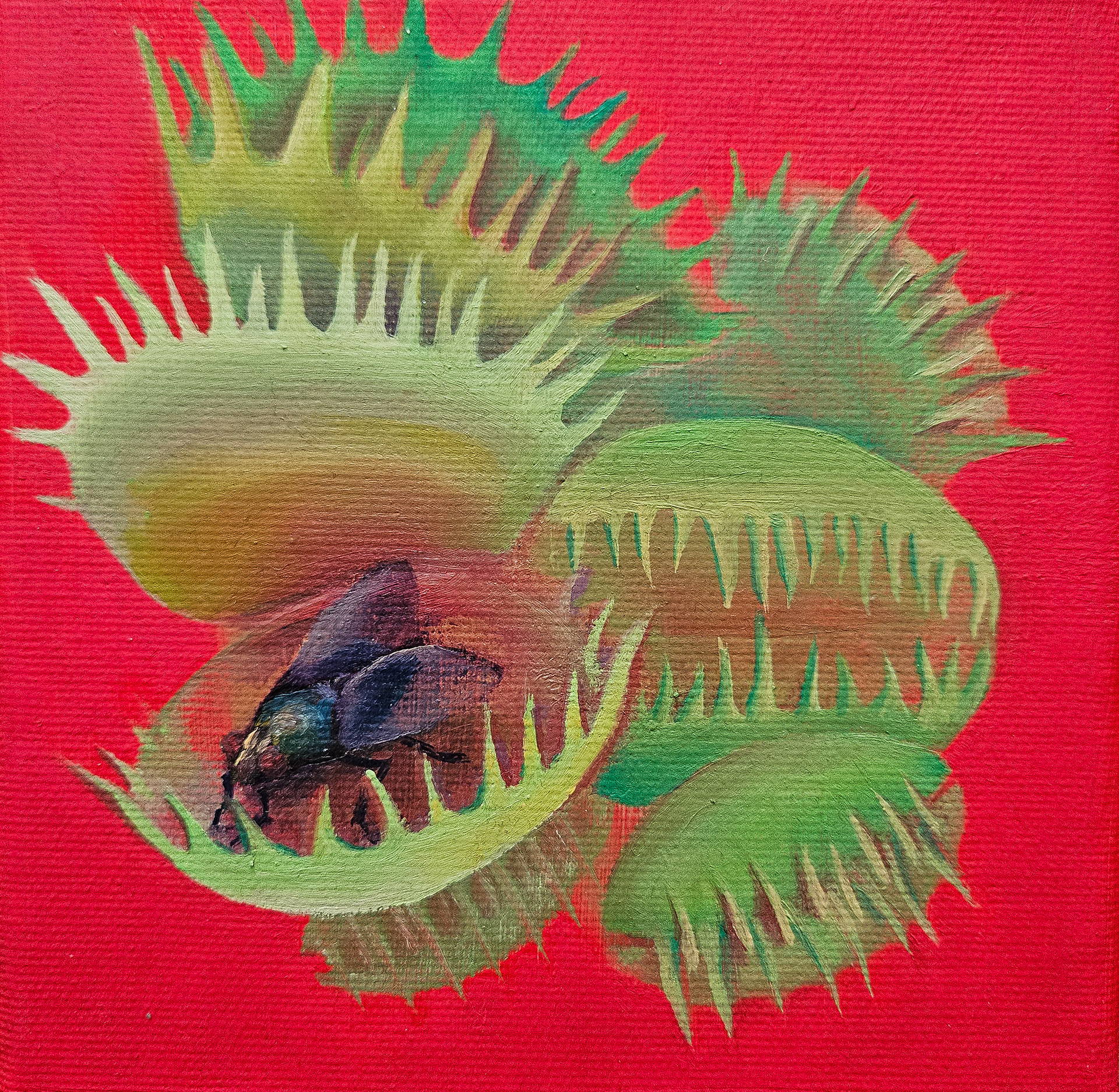 15x15 cm
