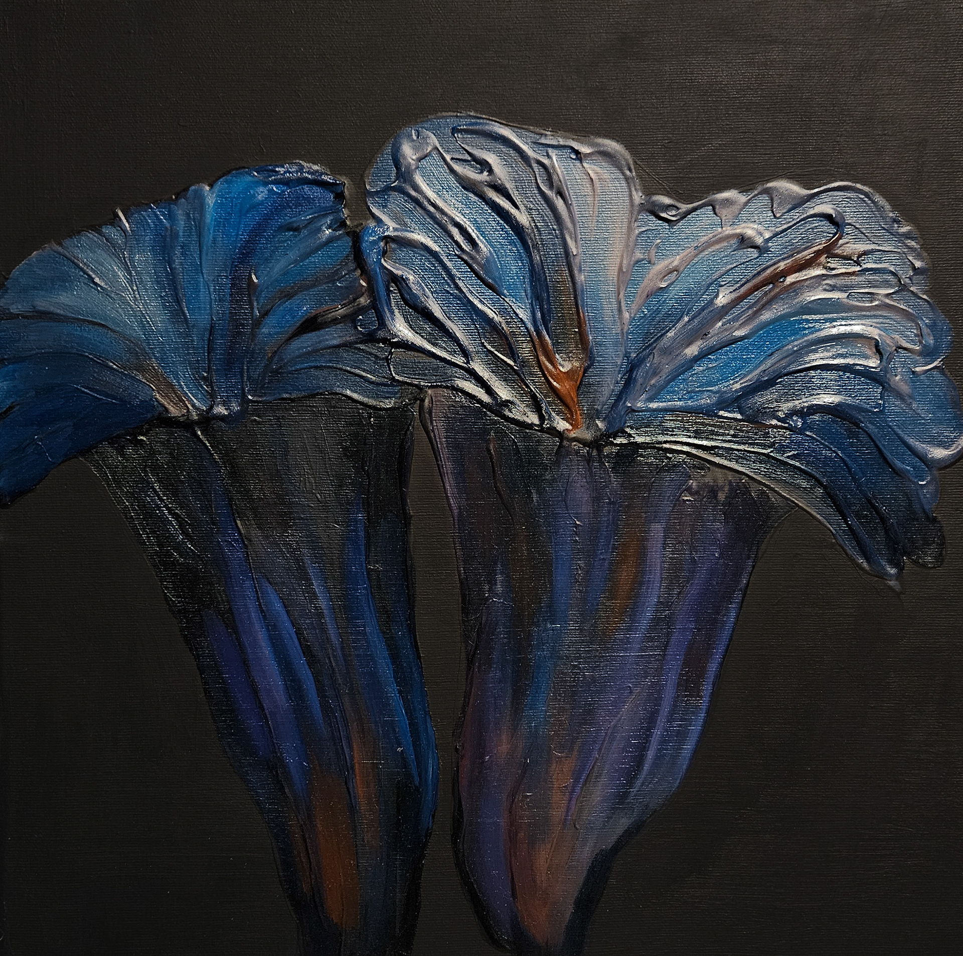 Craterellus cornucopioides: Black trumpet (or Horn of plenty),40x40 cm oil on canvas
