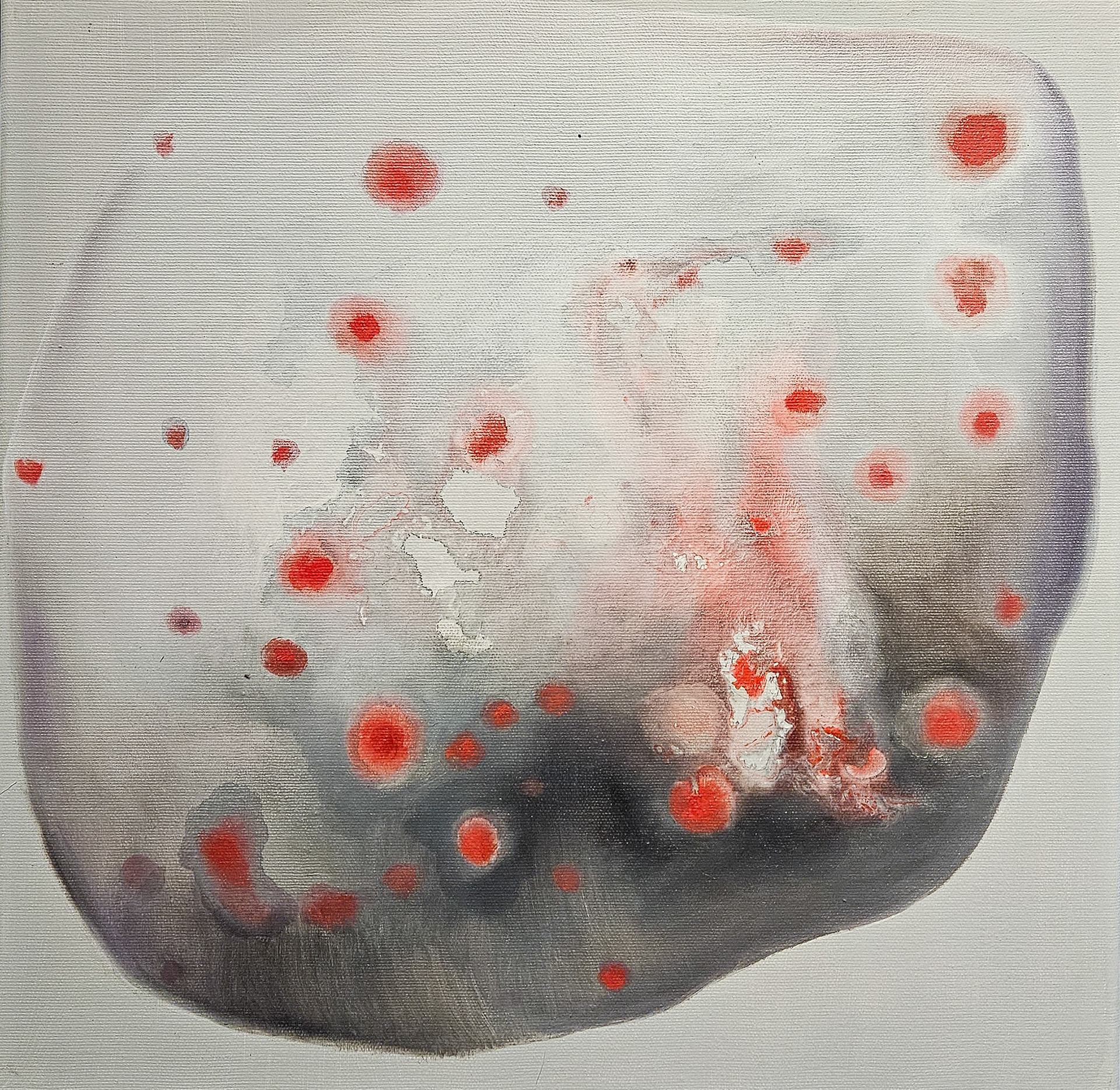 Hydnellum peckii: Devil's tooth, 40x40 cm oil on canvas