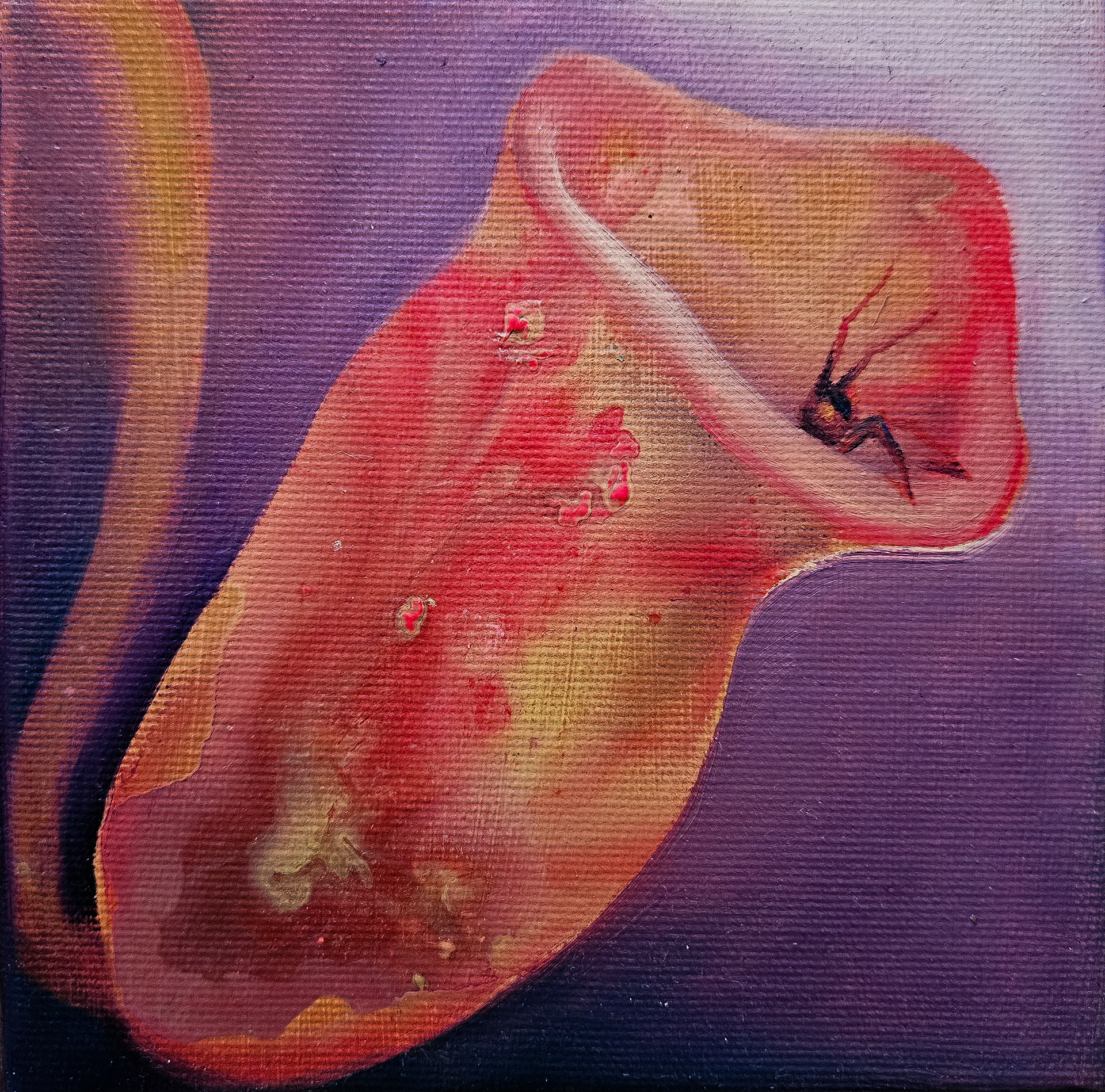 15x15 cm