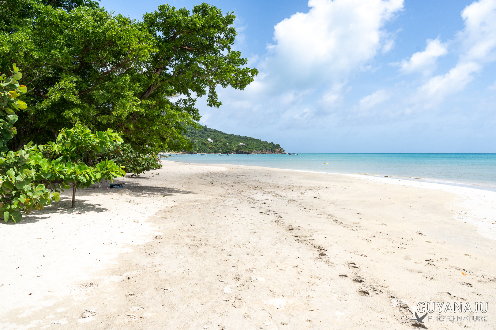BAHIA SUROESTE