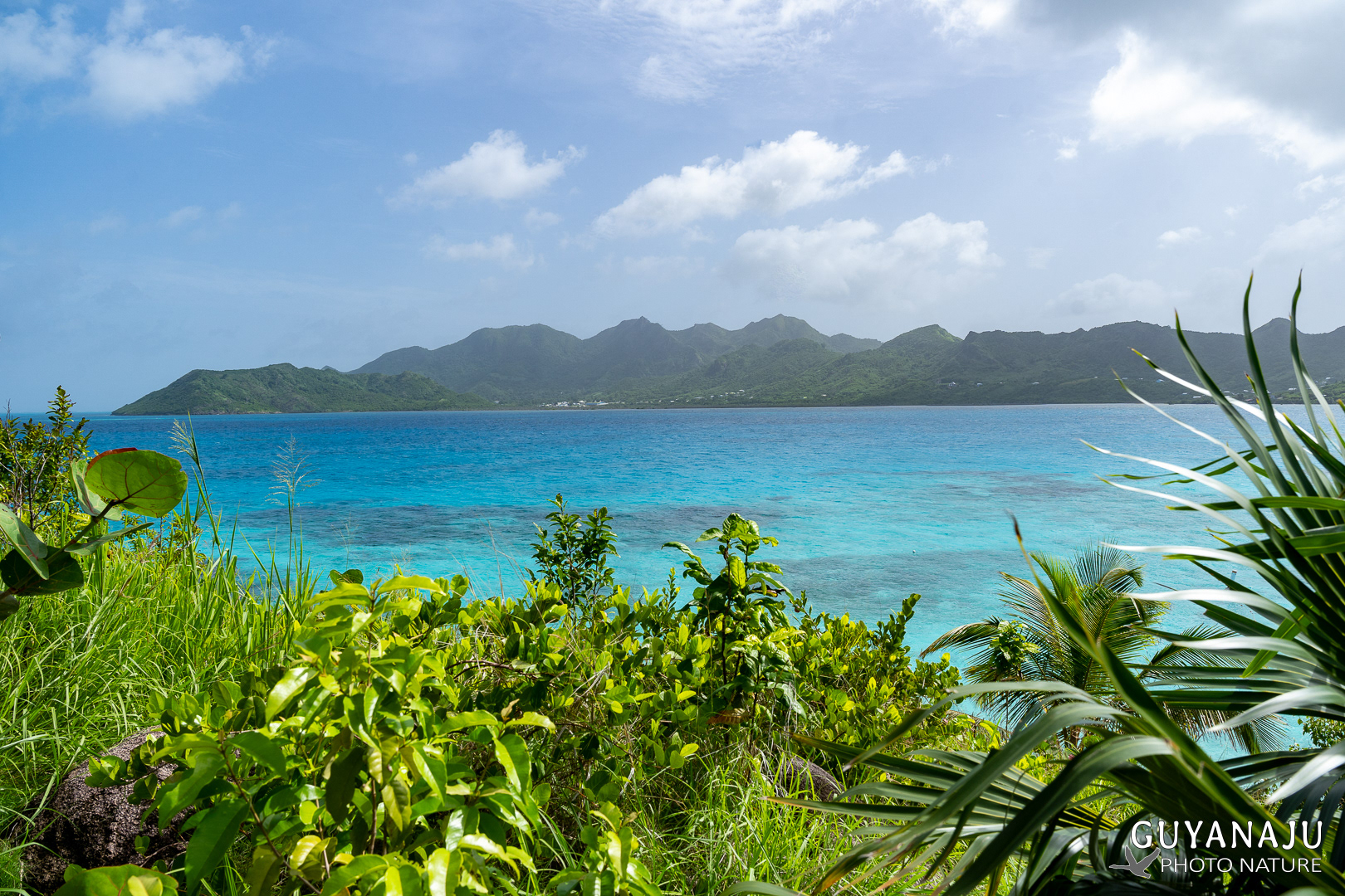 PROVIDENCIA DEPUIS LE CAYO CANGREJO