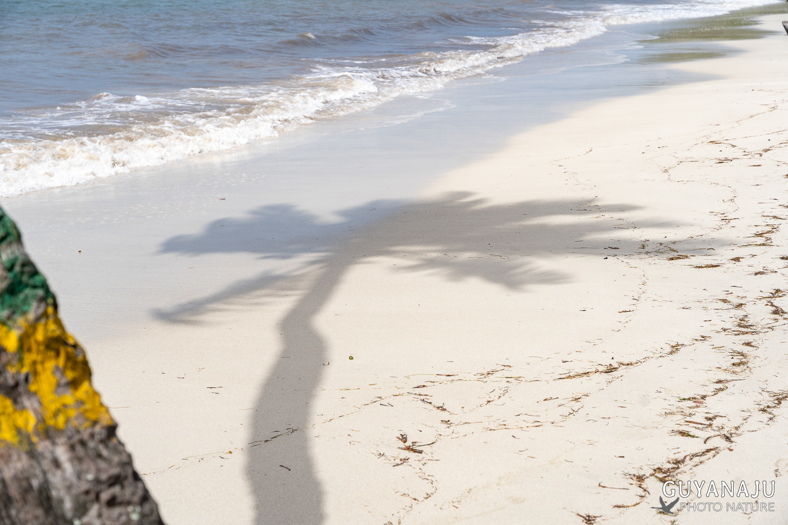PLAYA MANZANILLO
