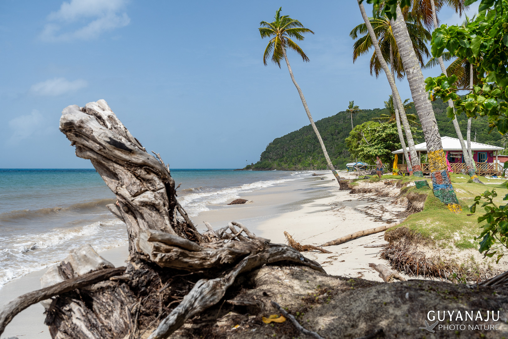 PLAYA MANZANILLO