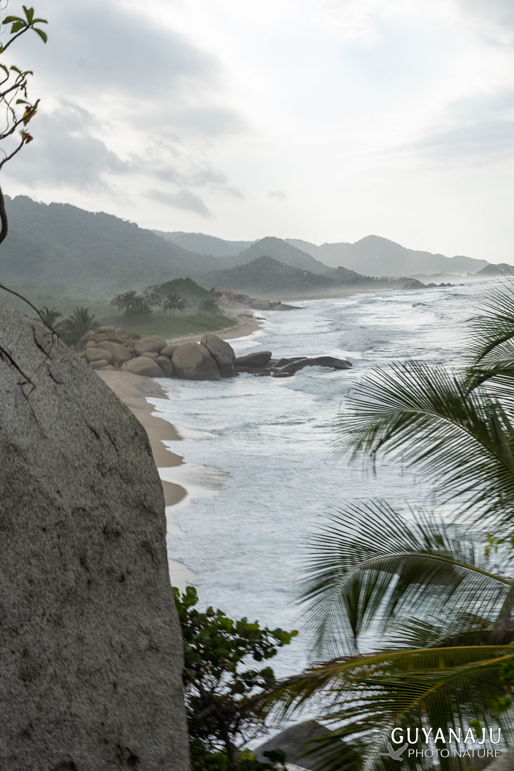 PARC DE TAYRONA
