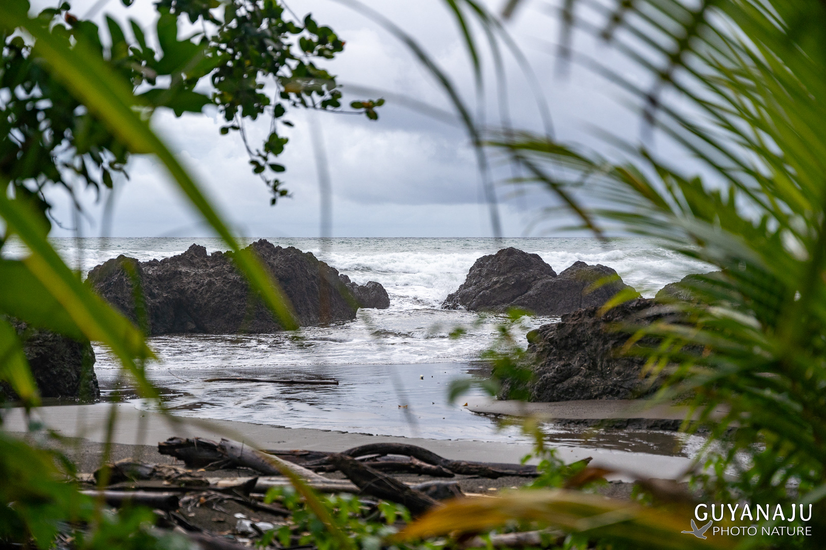 PLAYA GUAPIPE