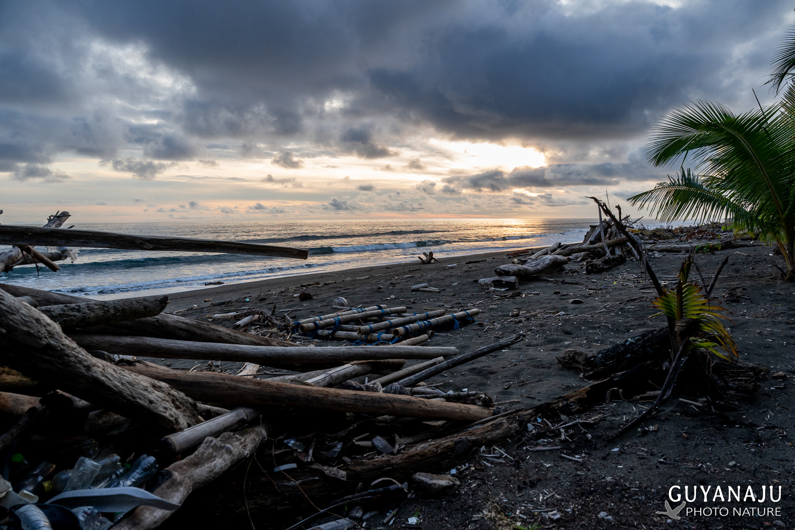 PLAYA CUEVITA