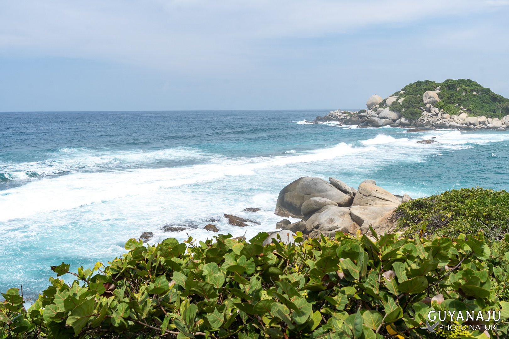 PARC DE TAYRONA