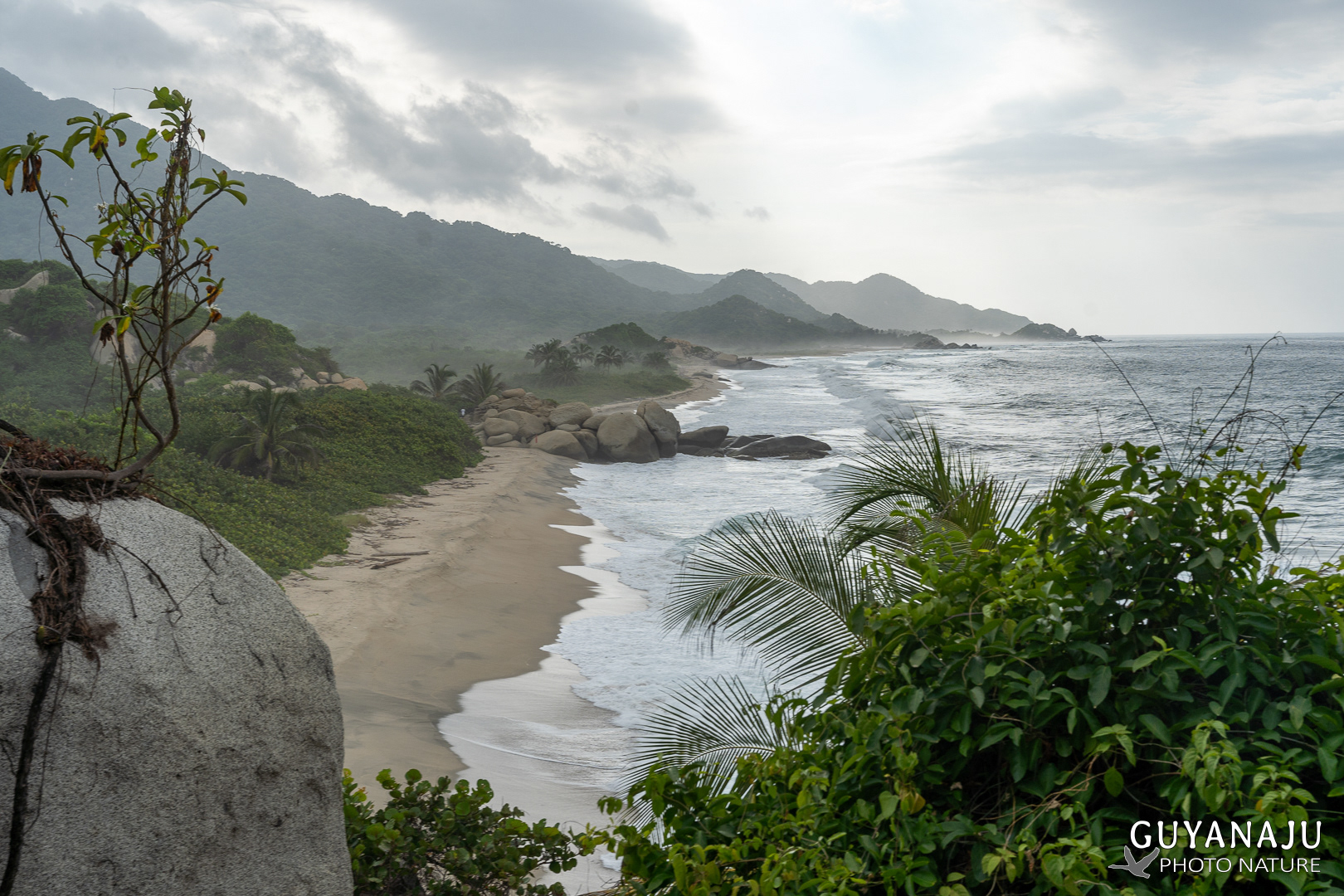 PARC DE TAYRONA - CÔTE CARAÏBES