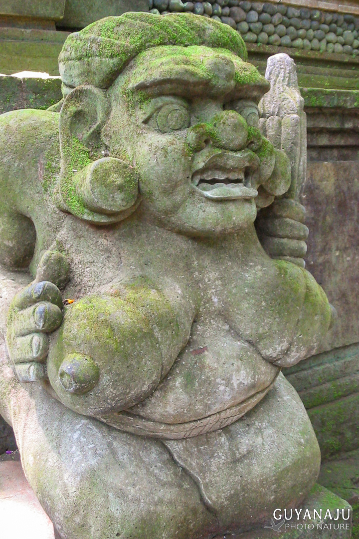 Monkey Forest - Ubud