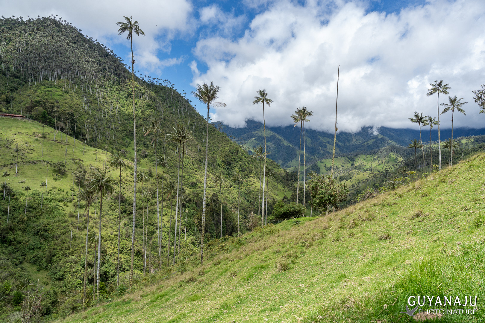 VALLÉE DE LA CARBONERA