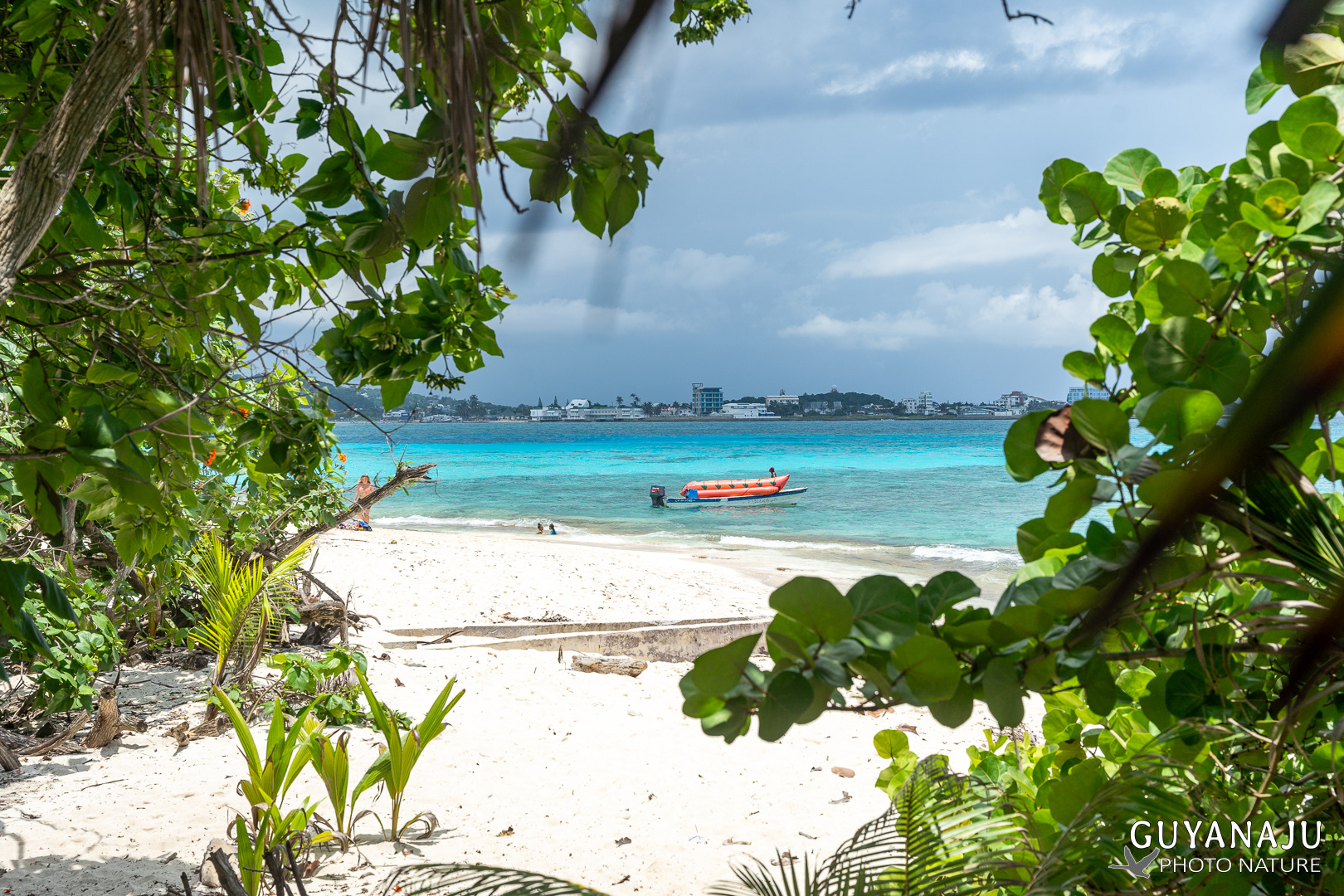 JOHNNY KAY - SAN ANDRES
