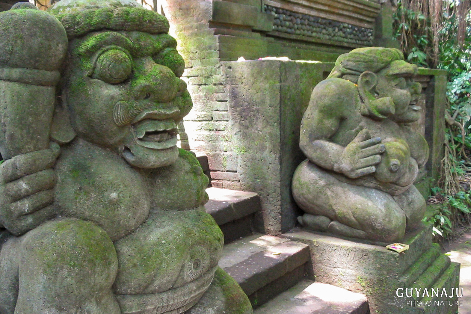 Monkey Forest - Ubud
