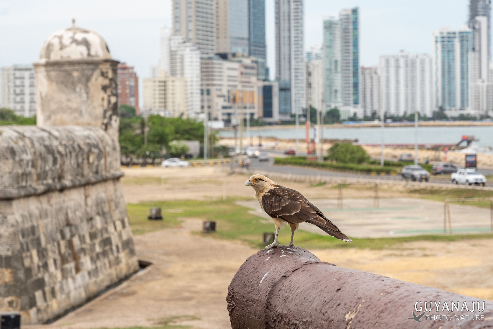 CARTAGENA - LES REMPARTS
