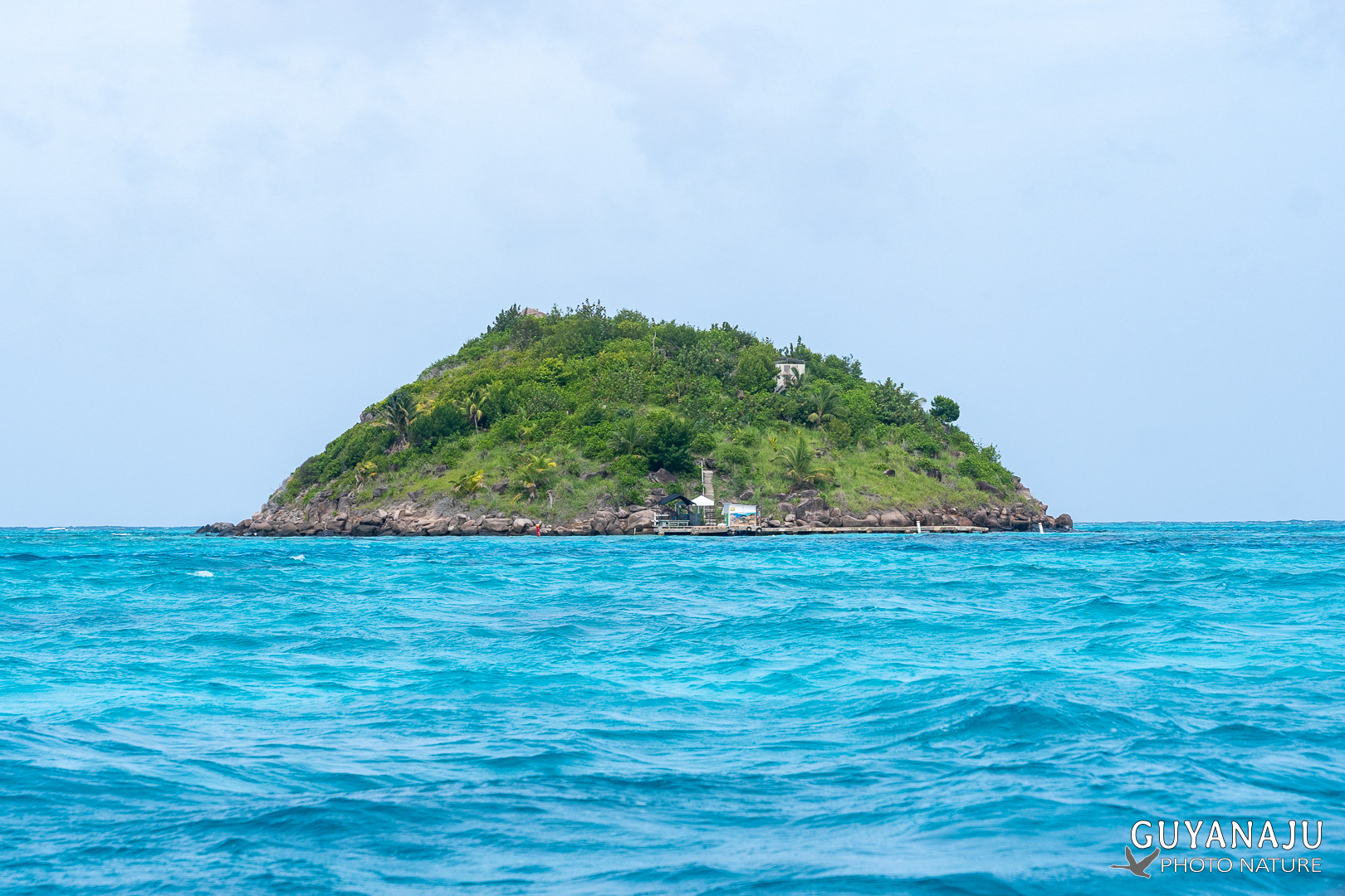 CAYO CANGREJO