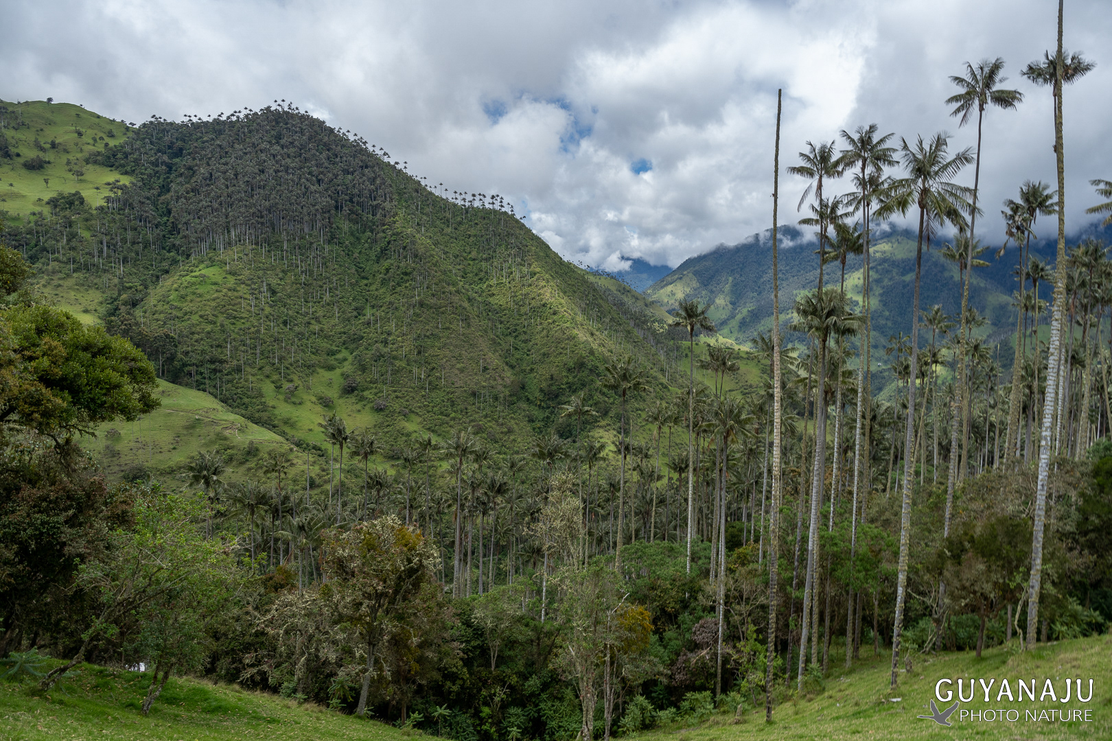VALLÉE DE LA CARBONERA