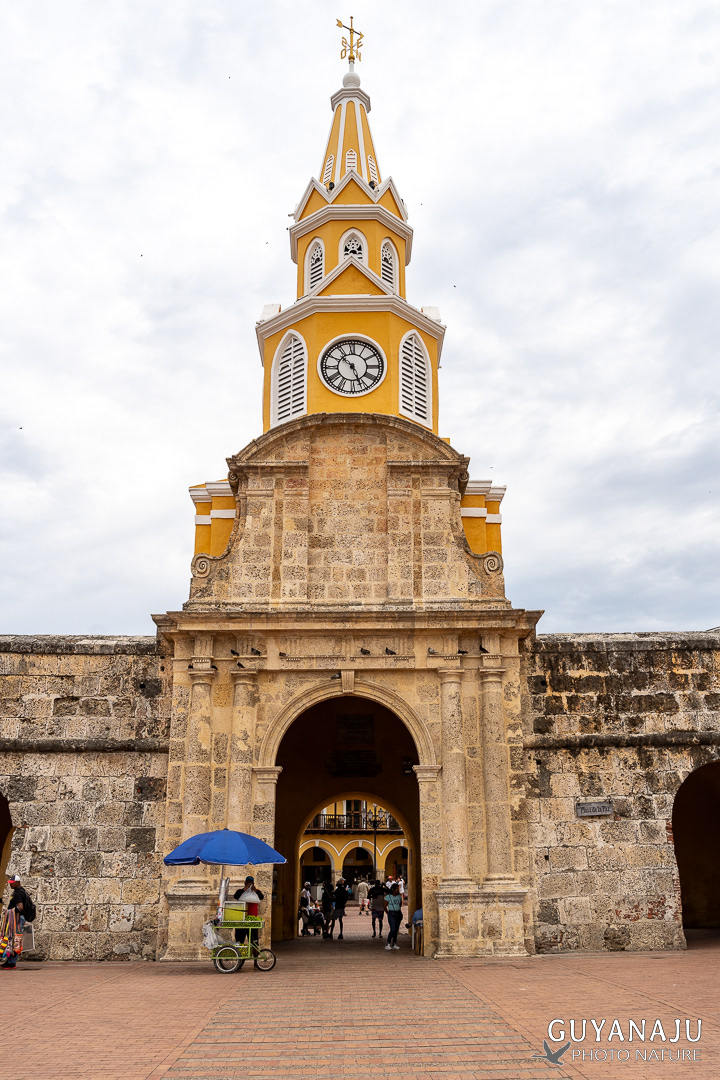 CARTAGENA - VIEILLE VILLE