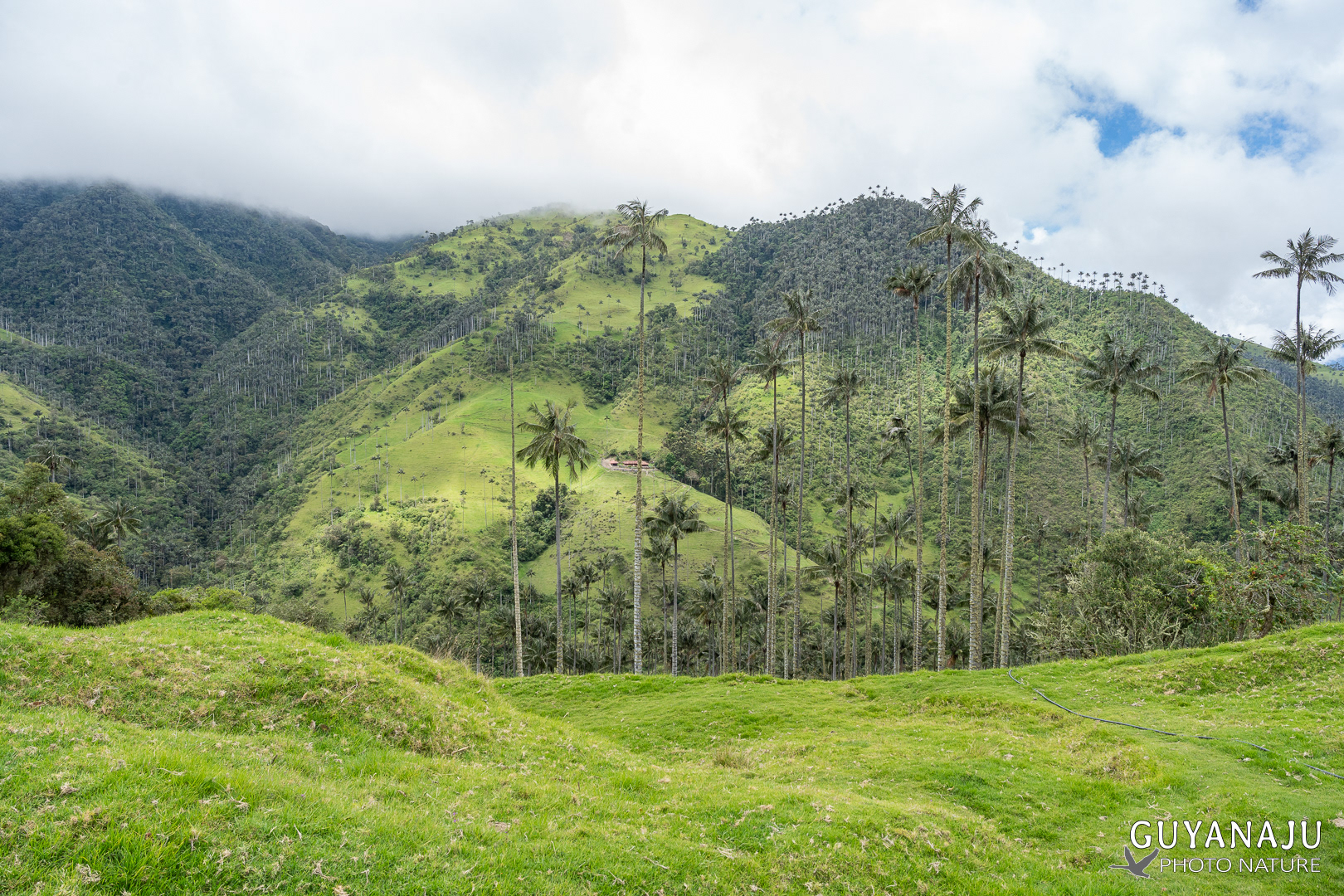 VALLÉE DE LA CARBONERA