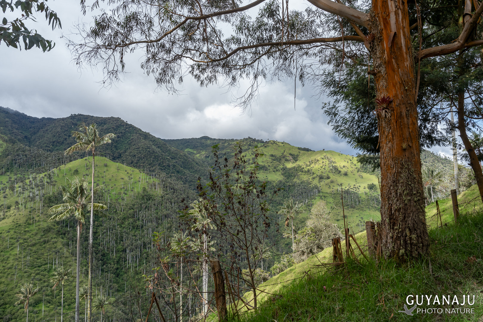 VALLÉE DE LA CARBONERA