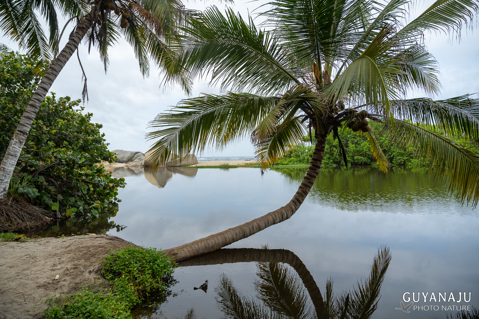 PARC DE TAYRONA